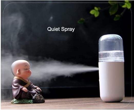 PORTABLE HANDY MIST SPRAYER, NANO MIST SPRAYER FOR FACE